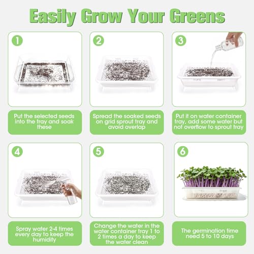 3 Pack Hard Acrylic Microgreens Growing Trays, Visual Soilless Sprouting Kit with Silicone Mats & Spray Bottle, Seed Germination Tray for Wheatgrass, Cat Grass & Vegetables