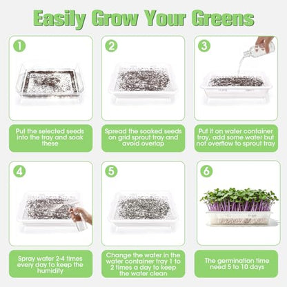 3 Pack Hard Acrylic Microgreens Growing Trays, Visual Soilless Sprouting Kit with Silicone Mats & Spray Bottle, Seed Germination Tray for Wheatgrass, Cat Grass & Vegetables