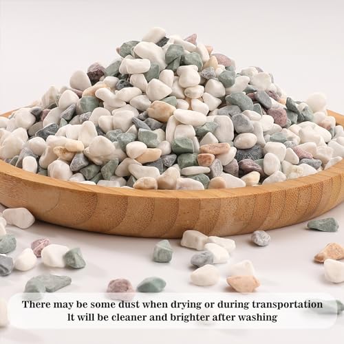 2.2lbs Horticultural Lava Rock - Volcanic Pebbles for Succulent, Bonsai & Aquarium - Gritty Soil Amendment & Decorative Gravel for Fairy Gardens