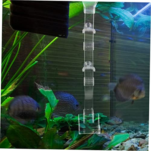 BESPORTBLE 1pc Fish Feeder Tube Sinking Feeding Dish for Shrimp and Fish Aquarium Supplies Reduces Food to Clean Design Feeding Tool