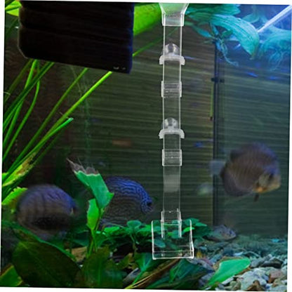 BESPORTBLE 1pc Fish Feeder Tube Sinking Feeding Dish for Shrimp and Fish Aquarium Supplies Reduces Food to Clean Design Feeding Tool