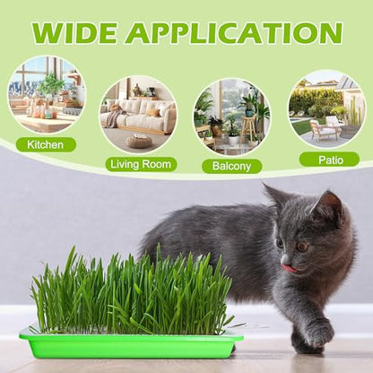 10 Pack Seed Sprouter Tray with Drain Holes - BPA Free Seed Garden Plant Germination Propagation Trays, Soil-Free Wheatgrass Tray Sprouter Microgreens Growing Kit with Germinating Paper