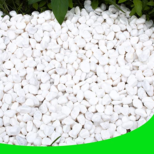 White Pebbles for Plants Garden 18 lb White Rocks Gravel Decorative Stones Landscaping Vase Fillers 1/2"