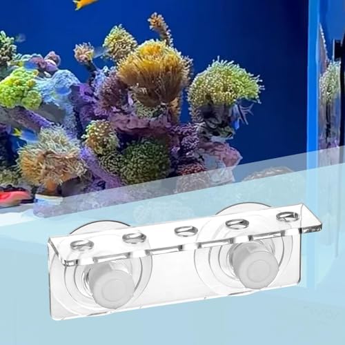 Rack Aquarium Stand Support Holder Versatile Enhanced Suction Cups Efficiency Single Row Arrangement Acrylic, 5 Holes - size: 5 holes