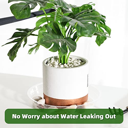 20 Pack Plant Saucers (6 inch / 8inch / 10inch / 12inch) Clear Plant Saucers Flower Pot Tray Excellent for Indoor & Outdoor Plants - style: Multi-Size (6''+8''+10''+12'')