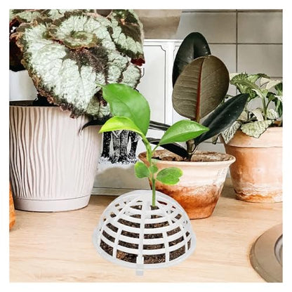 10 Pcs Water Plant Floating Balls Aquarium Moss Holders for Fish Tanks Reusable Aquatic with Natural Greenery