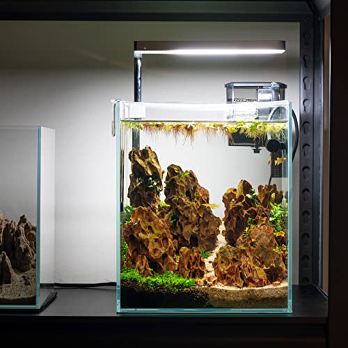 Nano Tall Rimless Frameless Extra Clear Glass Aquarium, Low Iron Glass Tank, 5mm Glass, White Leveling Mat Included, w/Lids Options - size: 5 GAL 9.8x9.8x11.8 in