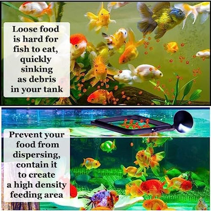 SunGrow 2 Betta Feeding Ring, Prevent Water Turbulence from Washing Food into Filter, Practical Round Floating Food, Suitable for Guppy, Goldfish and Other Small Fish