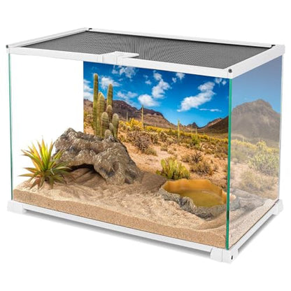 AWERT 36x18 inches Reptile Habitat Background Blue Sky Oasis Cactus Desert Terrarium Background Durable Polyester Background - size: 36x18in/90x45cm