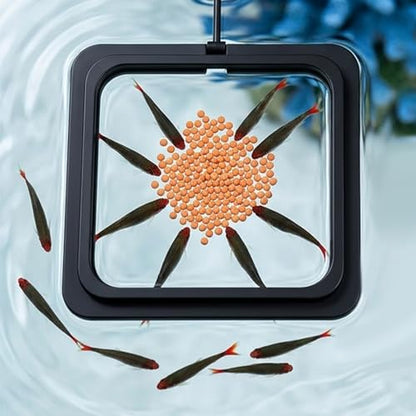 2PCS Fish Feeding Ring, Square and Round Aquarium Feeding Ring with Suction Cup for Betta Goldfish Guppy Turtle, Floating Fishes Feeder Rings for Fish Tank (Black)
