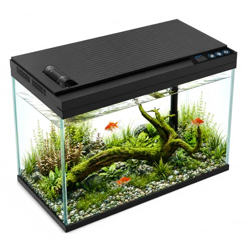 5 Gallon Fish Tank with Auto Feeder, Aquarium Starter Kit with Self Cleaning Filter, Crystal-Clear Glass, 7-Color LED Light, 5-Minute Setup, Vacation-Ready Betta & Goldfish Tank for Desk & Office