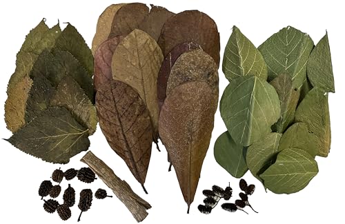 Awesome Aquatic Shrimp Combo Kit 10 Each Catappa, Mulberry and Dadap Leaves, Alder & Casuarina Cones, 10 g Catappa Bark and 1-6 inch Cholla Wood