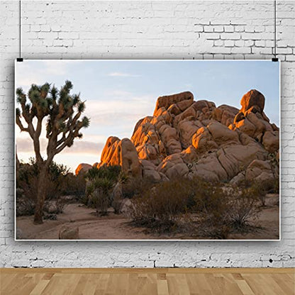 9x6ft Sunset Joshua Tree National Park Photography Background Rock Mountains Arid Desert Cactus Backdrop Nature Scenery Landscape Outdoor Adventure Travel Theme Photo Polyester Studio Props - size: 9x6ft-P