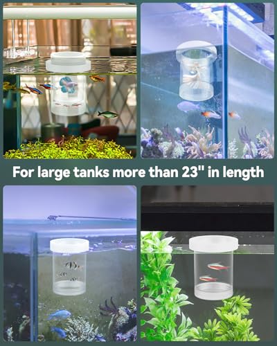 Pawfly Large Breeder Box for Fish Tank, Floating Guppy Breeder Box, Plastic Hatchery Incubator Isolation Box for Shrimp Betta Clownfish, Baby Fish Separator for Aquarium - size: Large