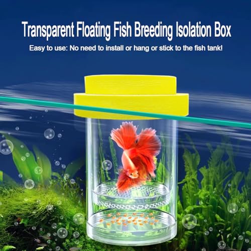 Floating Fish Breeding Isolation Box for Aquarium Tank Plastic Mesh Hatchery Incubator Breeder Box for Baby Fish Betta Shrimp Clownfish Guppy (Yellow, Medium) - color: Yellow
