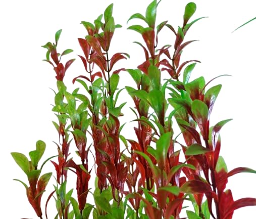 Jumbo Aquarium, Pond Artificial Green and Burgundy Plant 60-65cm (25 Inch) Tall, Fish Tank Foliage Ornament | Plastic Aquascaping Decoration, XL Background Foliage, Provides Coverage for Koi