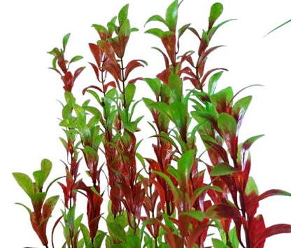 Jumbo Aquarium, Pond Artificial Green and Burgundy Plant 60-65cm (25 Inch) Tall, Fish Tank Foliage Ornament | Plastic Aquascaping Decoration, XL Background Foliage, Provides Coverage for Koi