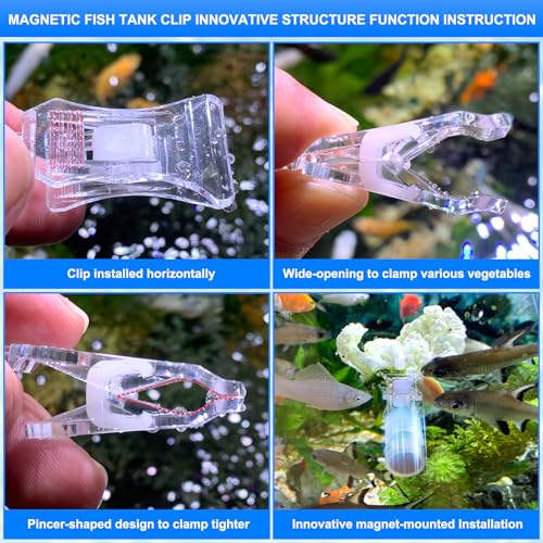 Waterproof Magnetic Seaweed Clip for Saltwater Fish Feeding nori Clip Aquariums Magnet Veggie Feeder Plant clamp Fish Accessories—Patented Product (1pcs Magnetic Veggie Clip)
