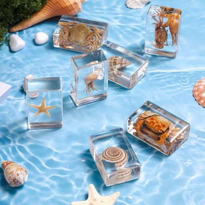 12 Pcs Real Ocean Animal & Insect Specimens in Resin - Educational Science Display Collection with 12 Unique Styles - Perfect for School Projects, Bug Collectors & Home Decor