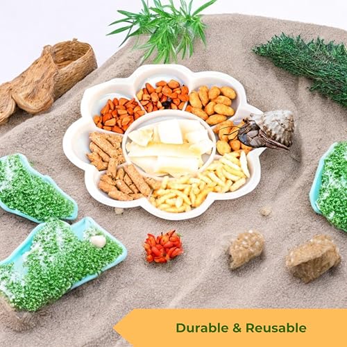 2pcs Hermit Crab Food Bowls with Feeding Tongs and Scooper Set, Hermit Crab Food Bowl Water Dishes Accessories, Small Animal Foods Dish Kit, Feeder Bowl for Snail Tortoise Crab (Blue)