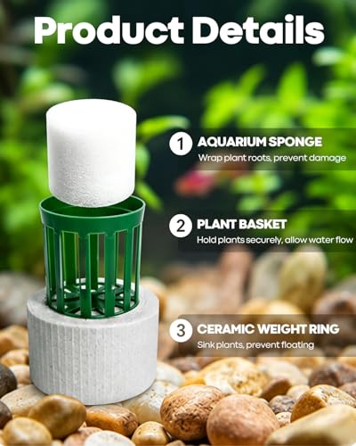 24 Pcs Aquarium Plant Weights Kit, Ceramic Anti-Floating Rings with Soft Sponge – Aquarium Plant Anchors Keep Live Plants in Place. Aquarium Plant Weights for Live Plants to Prevent Floating