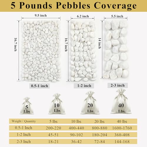 5 lbs White Matte Rocks for Plants, 2-3 Inch Large Pebbles for Indoor Plants, Decorative River Stones for Succulent, Landscaping, Vases, Crafting and Garden