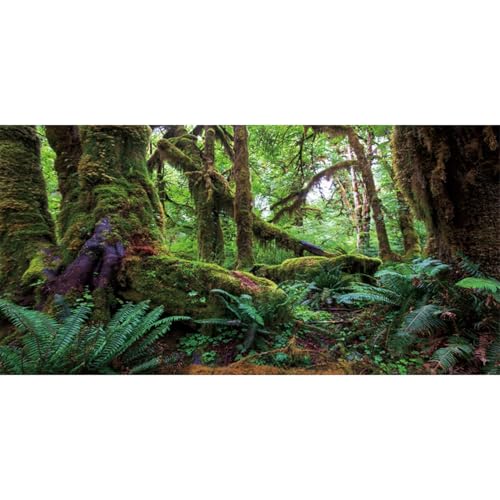 AWERT 24x12 inches Tropical Forest Terrarium Background Green Huge Tree Reptile Habitat Background Rainforest Aquarium Background Durable Polyester Background