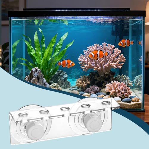 Rack Aquarium Stand Support Holder Versatile Enhanced Suction Cups Efficiency Single Row Arrangement Acrylic, 5 Holes - size: 5 holes