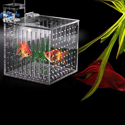 Clear Acrylic Fish Tank Isolation Box, Multifunctional Enclosure for Small Pets, 10.5 cm³, Water Flow Assurance