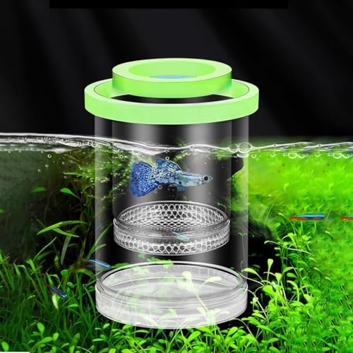 Fish Breeding Box, Floating Aquarium Hatchery Cage with EVA Buoyancy Ring, Adjustable Height Isolation Container for Guppy Fry Small Fish - color: Green, size: 5.6*3.6in