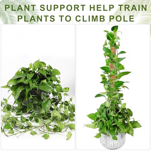 Moss Pole Monstera Plant Support, 2 Ft, 2 Pack Sustainable Coir Bendable Moss Pole Stakes, Plant Sticks for Climbing Vines, Pothos, Potted, Comes with Velcro Tape and Hemp Rope