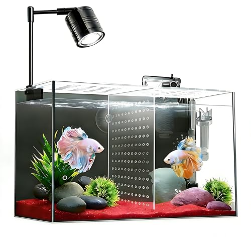 Fish Tank, 3 Gallon Ultra-Clear Glass Fish Aquarium, with Separator Plate for Betta, Fish Tank Starter kit with Filter and Led Light, Black - color: Black transparent with Adjustable Light