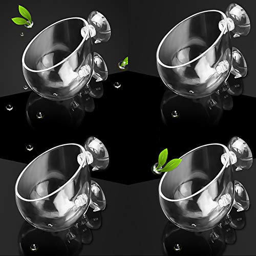 4X Crystal Glass Aquarium Plant Pot, Aquarium Aquatic Planter, Red Shrimp Live Plants Fish Tank Glass Holder with 4X Suction Cups for Aquarium Fish Tank Decorations … (4 Pack)… - size: 4 pack