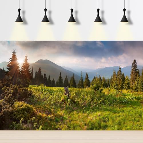 Sunrise Mountain Landscape Aquarium Background Lush Green Wild Meadow Plants Pine Trees Fish Tank Background Misty Foggy Cloudy Blue Sky Mountain Ridge Reptile Tank Terrarium Backgrounds 30x12in
