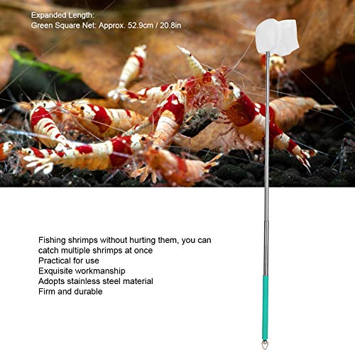 Pssopp Small Aquarium Fish Net Telescopic Pole Fish Shrimp Catch Nets Skimming Net with Extendable Long Handle for Fish Fry Crystal Shrimp(Green )