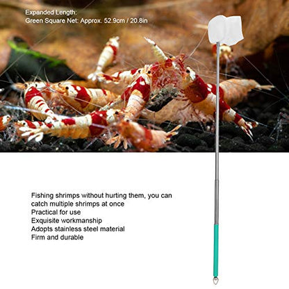 Pssopp Small Aquarium Fish Net Telescopic Pole Fish Shrimp Catch Nets Skimming Net with Extendable Long Handle for Fish Fry Crystal Shrimp(Green )