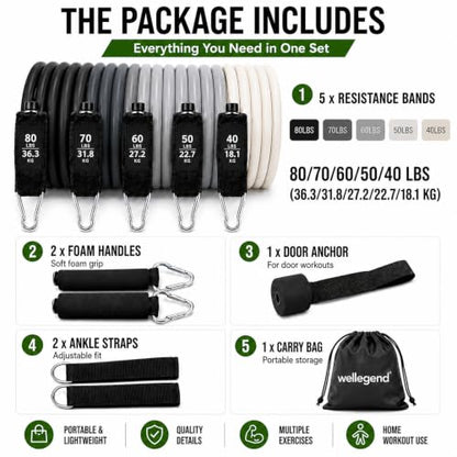WELLEGEND Resistance Bands Set with Complete Workout Accessories