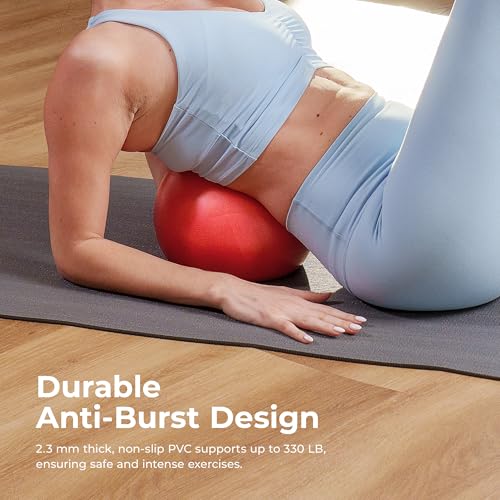 Sunny Health & Fitness Premium Anti-Burst Exercise & Stability Ball - size: 9" (23cm)