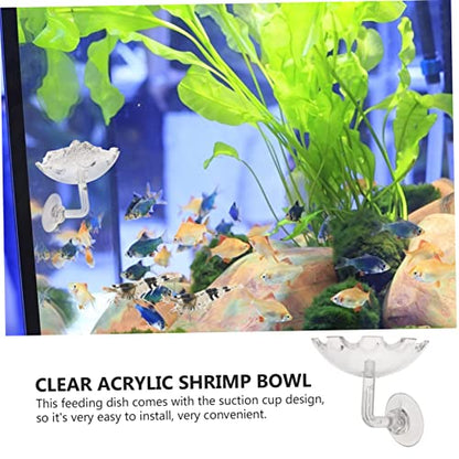 2pcs Acrylic Shrimp Feeding Dish with Cup Reptile Food Bowl for Aquariums Convenient Installation and Multi-Purpose Use Transparent Feeding Tray for Shrimp Tank