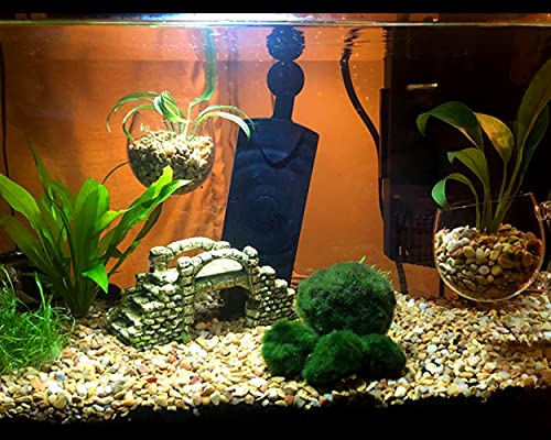 Aquatic Plant Cups 2 Pieces Crystal Glass Plant Pot with 2 Suction Cups for Aquarium Decoration