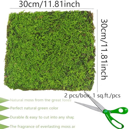 2 Pcs Preserved Sheet Moss for Potted Plants 2 sq.ft. Dried Natural Preserved Mat Green Moss Sheets for Planters Crafts Woodland Decor Garden Party Wall Art DIY Project Light Green