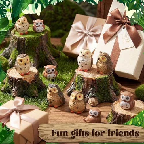 Wesiti 40 Pcs Resin Mini Owl Figurines Owl Miniature Figurines Bulk Mini Resin Statues for Summer Miniature Garden Accessories Micro Landscape Plant Pots Bonsai Fairy Decorations (Elegant Style) - style: Elegant Style