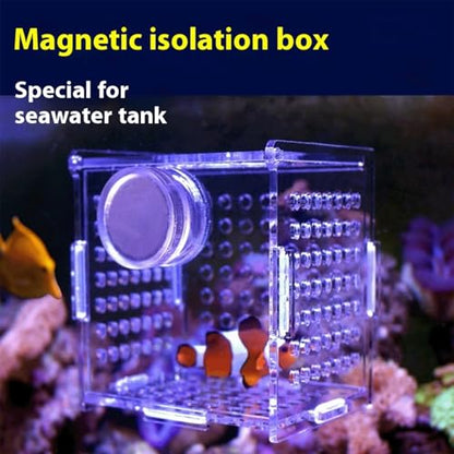 Acrylic Fish Breeding Box, Magnetic Fish Isolation Box Fish Separator for Aquarium Hatchery Incubator Tank for Baby Fishes Shrimp Clownfish Guppy (Medium, Reinforced Magnetic Model)