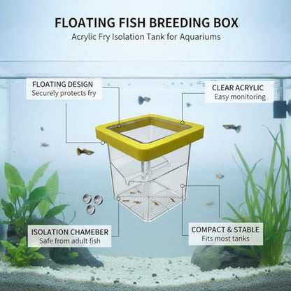 Floating Fish Breeding Box, Acrylic Fry Isolation Tank for Aquariums, Separates Newborn Fry from Adult Fish (1 PC)