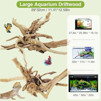 Natural Driftwood for Aquarium, 11-13 inch Reptile Branches Terrarium Wood Aquarium Trunk Driftwood Tree Fish Tank Log Decoration Pack of 2 - size: Spiderwood（7-13 inch pack of 2）