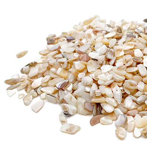 Crushed Shells for Crafts, Sea Shells for Kids DIY Art, Vase Fillers Table Scatter, Party Favor, Wedding Decoration, Succulents Plants Soil Cover, Art Crafts (Beige)