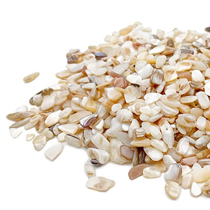 Crushed Shells for Crafts, Sea Shells for Kids DIY Art, Vase Fillers Table Scatter, Party Favor, Wedding Decoration, Succulents Plants Soil Cover, Art Crafts (Beige)