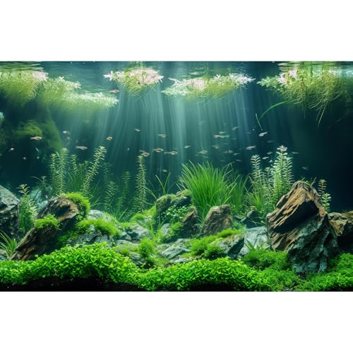 Underwater Aquarium Background Lush Green Aquatic Plants Fish Tank Background Rocks Stones with Moss Under The Sea Terrarium Background Tropical Underwater World Theme Aquarium Backdrop 24x16in - color: Green, size: 24(W)x16(H)in