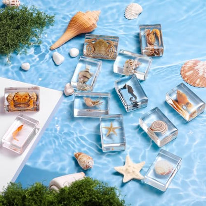 12 Pcs Real Ocean Animal & Insect Specimens in Resin - Educational Science Display Collection with 12 Unique Styles - Perfect for School Projects, Bug Collectors & Home Decor