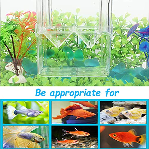 Fish Breeding Box, 3 Rooms HD Aquarium Breeder Box with Suction Cups Hatchery Acrylic Fish Incubator Isolation with Artificial Plant for Guppy Hatchery - size: 3 Rooms